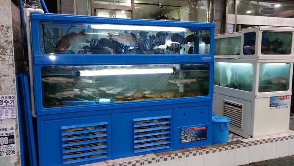20141130_163833.jpg