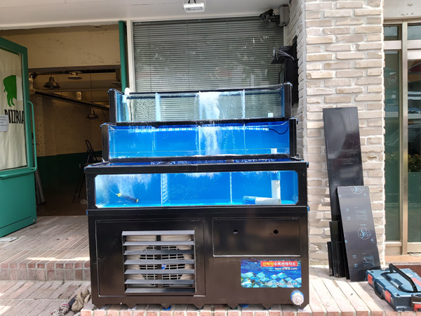 20190528_145410.jpg