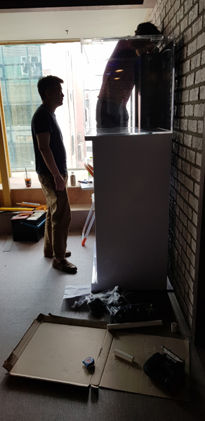 20190525_155700.jpg