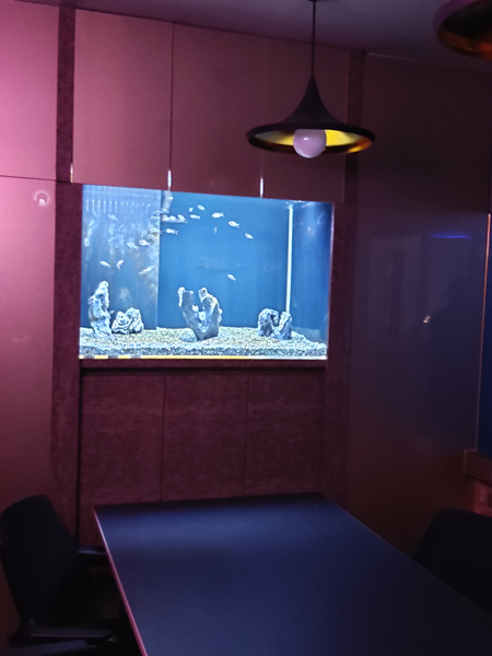 20190826_173525.jpg